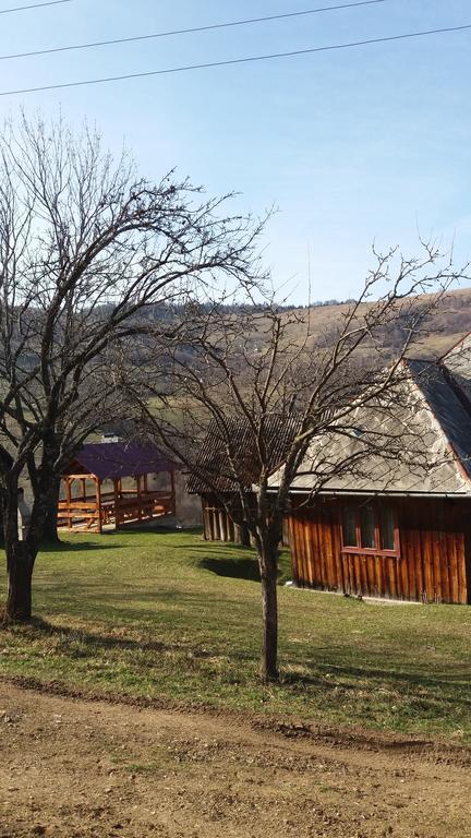 Cabana Bunicilor Rachitele Exterior foto